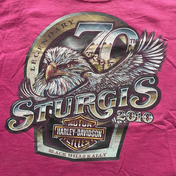 Vintage 2010 Harley Davidson 70th Anniversary of STURGIS Mt. RUSHMORE T-Shirt - Picture 3 of 5
